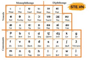 Ký tự đặc biệt ngữ âm