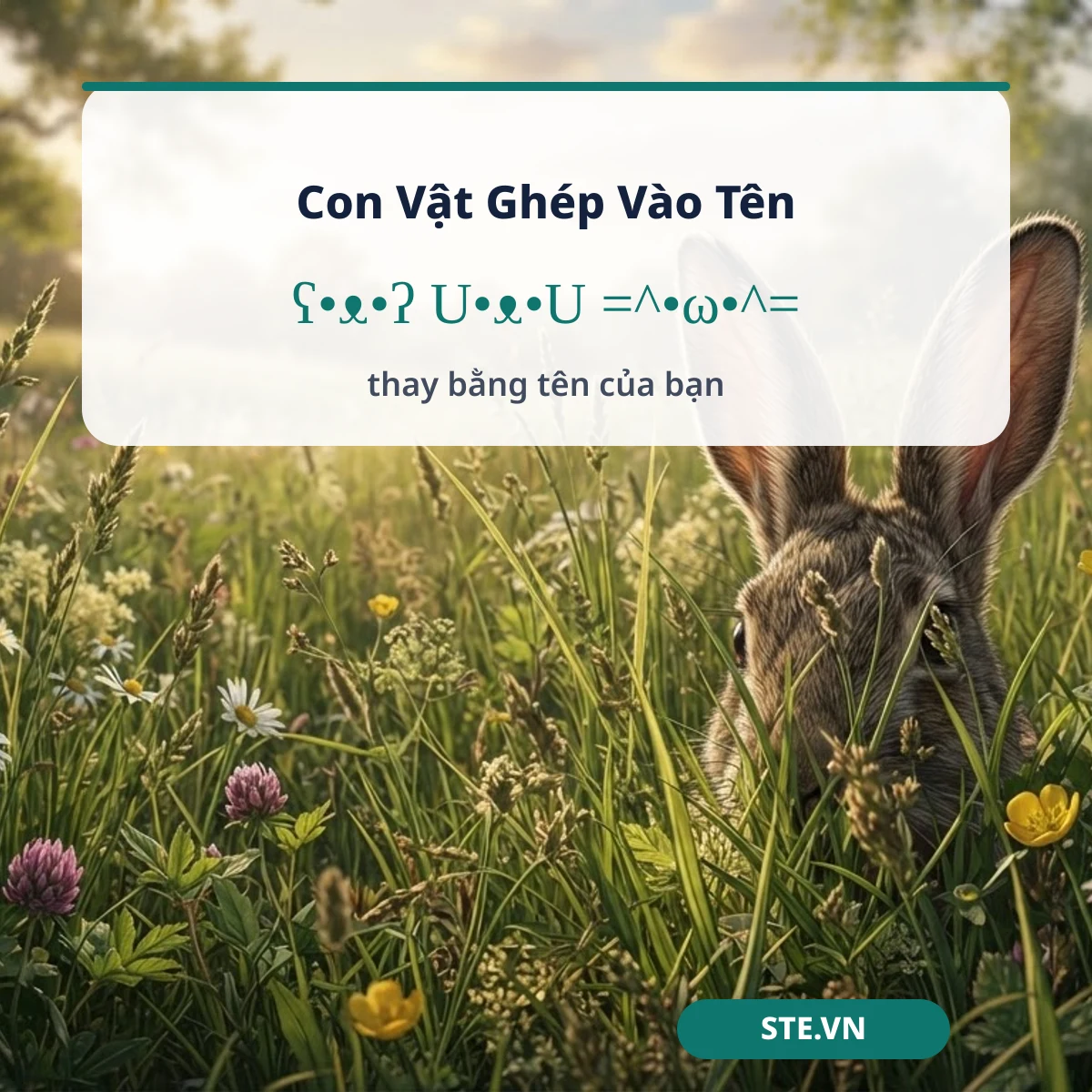 Con vật ghép vào tên: mặt gấu, chó, mèo đi kèm tên tiếng Việt