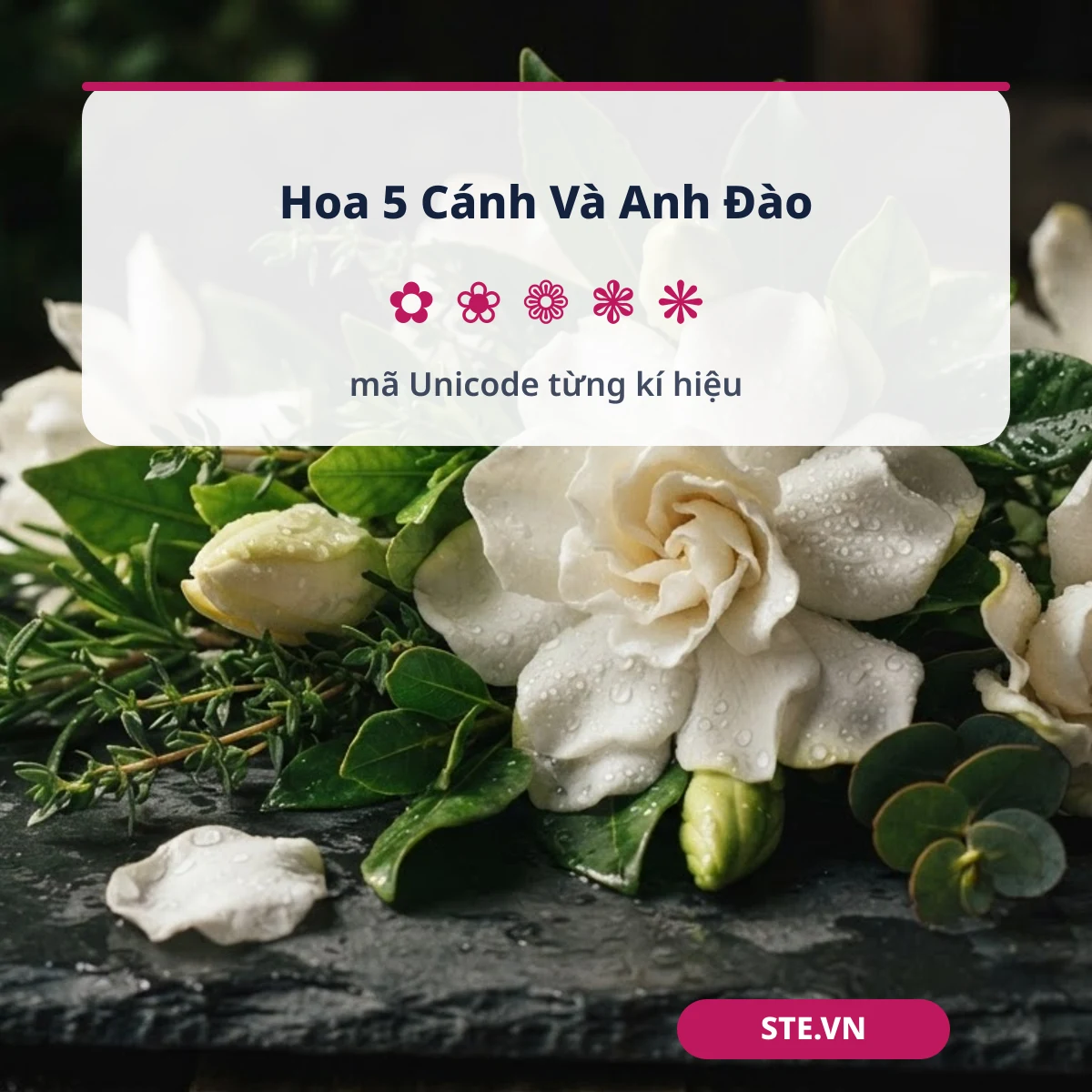 Hoa năm cánh và hoa anh đào kèm mã Unicode