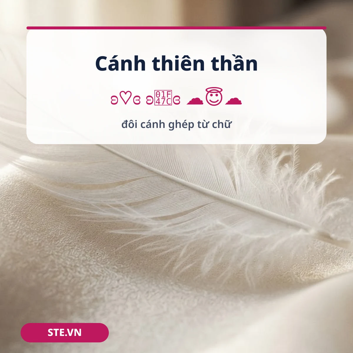Kí tự đôi cánh và cánh thiên thần ghép từ chữ ʚ ɞ