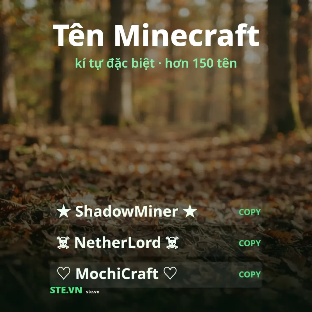 Tên Minecraft kí tự đặc biệt: ShadowMiner, NetherLord, MochiCraft