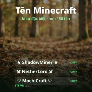 Tên Minecraft kí tự đặc biệt: ShadowMiner, NetherLord, MochiCraft